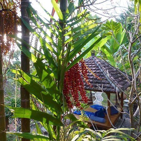 Sananda Bungalow Lovina Dış mekan fotoğraf