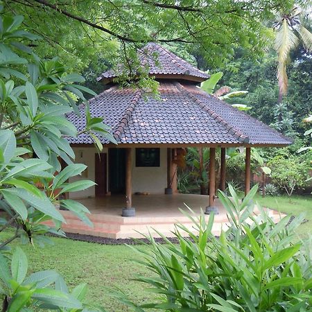 Sananda Bungalow Lovina Dış mekan fotoğraf