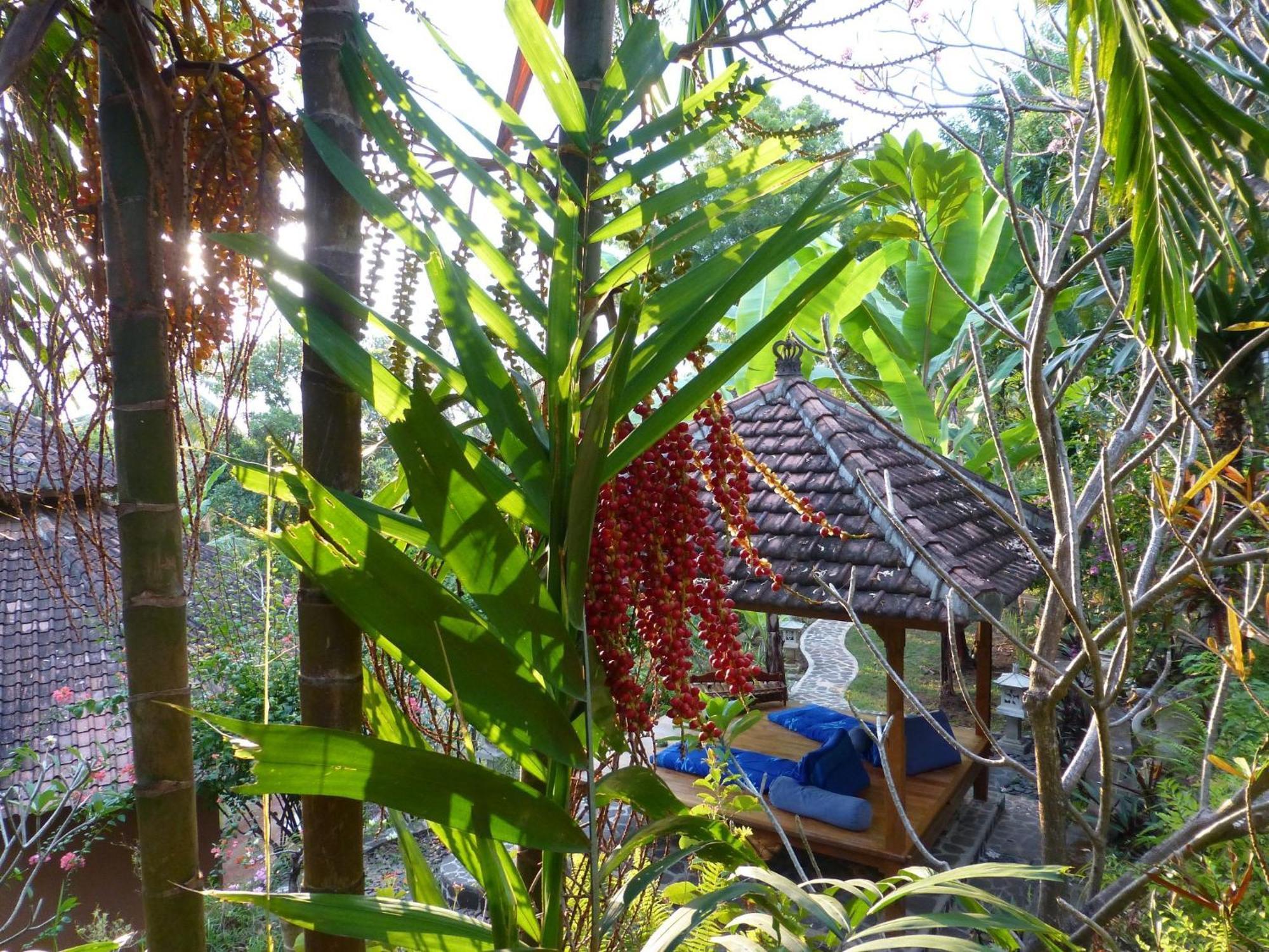 Sananda Bungalow Lovina Dış mekan fotoğraf