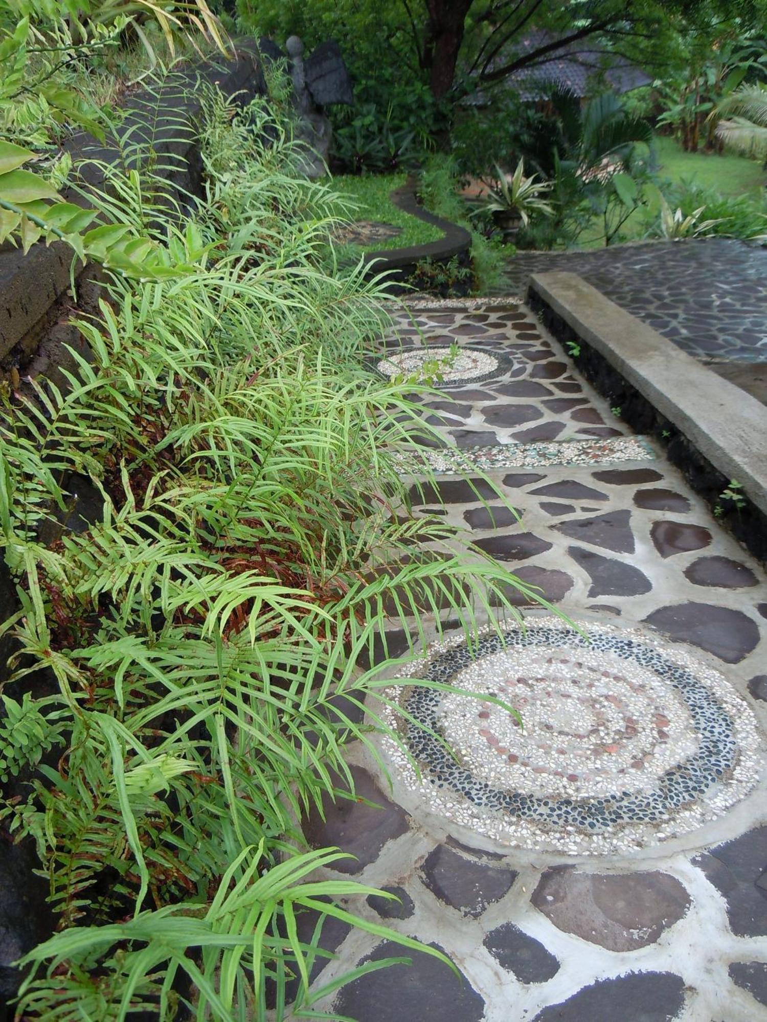 Sananda Bungalow Lovina Dış mekan fotoğraf