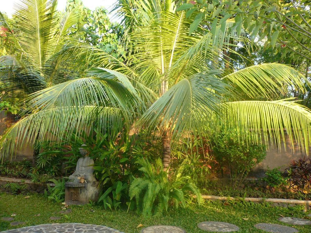 Sananda Bungalow Lovina Dış mekan fotoğraf
